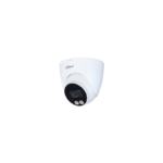 CAM6
